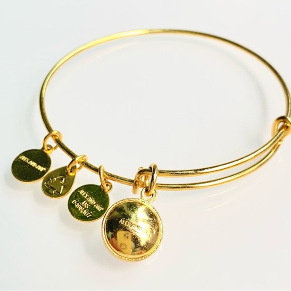 Alex and Ani Charm Bangle Bracelet November Topaz Birth Stone - Picture 5 of 6